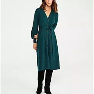 Ann Taylor Green Sweater Dress